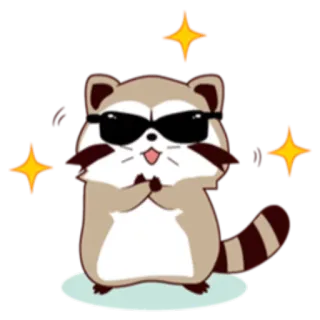 😎 mapache, lindo, pegatina, dibujos animados, animal, gafas de sol whatsapp sticker