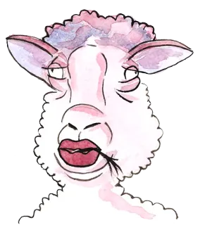 😎 cừu, động vật, màu nước, vật nuôi, hình minh họa, bản vẽ telegram sticker