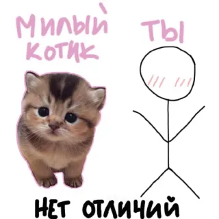 😛 Милый котик Ты НЕТ ОТЛИЧИЙ 고양이, 새끼 고양이, 귀여운, 그림, 비교, 막대기 사람, 웃긴 telegram sticker