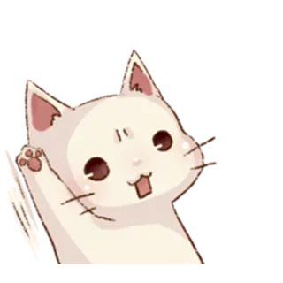 🙋 kot, powitanie, machanie, kreskówka, zwierzę, kawaii telegram sticker