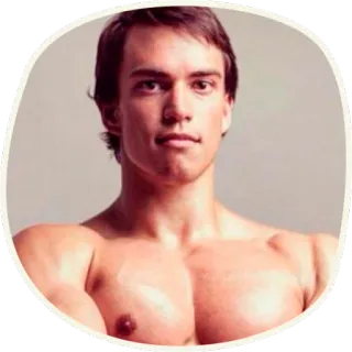 🙂 Arnold Schwarzenegger Fisiculturista, Músculos, Fitness, Ator, Arnold Schwarzenegger telegram sticker