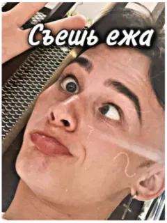 🦔 Съешь ежа face, person, russian, text telegram sticker