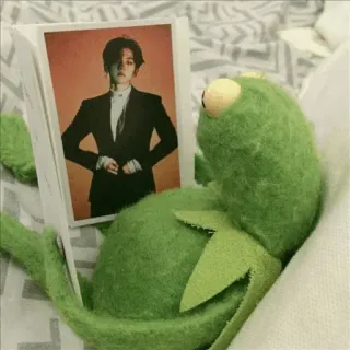 😕 Kermit the Frog kermit, rana, meme, burattino, muppets whatsapp sticker