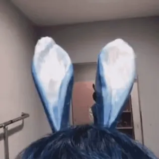 🐰 orecchie da coniglio, capelli, orecchie telegram sticker