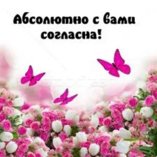 😊 Абсолютно с вами согласна! 蝶, 花, 同意, ピンク, 花柄, 挨拶 telegram sticker