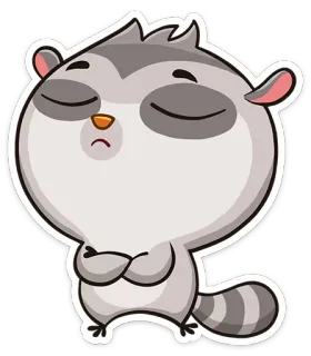 ☹ raton laveur, dessin animé, animal, autocollant, mignon, détendu, bras croisés whatsapp sticker