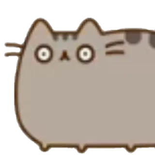 😨 Pusheen gato, lindo, pegatina, dibujos animados, Pusheen, meme whatsapp sticker