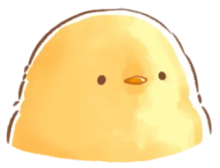 🤩 pollito, lindo, amarillo, animal, pájaro, dibujos animados whatsapp sticker