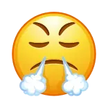 😤
