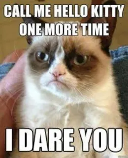 😉 CALL ME HELLO KITTY ONE MORE TIME
I DARE YOU 暴躁猫, 表情包, 猫, 搞笑, 幽默, 挑战 whatsapp sticker