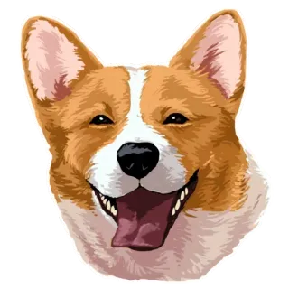 🐶 corgi, chó, động vật, thú cưng, chó con, dễ thương, hoạt hình telegram sticker