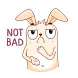 👏 VIBE CHECK coniglio, coniglietto, vibrazioni, meme, carino, animale whatsapp sticker
