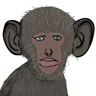 🐵 monkey, ape, animal, cartoon, mammal, primate telegram sticker