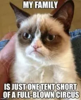 🎪 Grumpy Cat MY FAMILY IS JUST ONE TENT SHORT OF A FULL-BLOWN CIRCUS 猫, 表情包, 暴躁, 家庭, 幽默, 搞笑, 笑话 whatsapp sticker