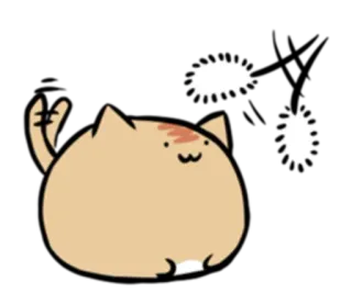 👀 chat, animal, autocollant, mignon, animal de compagnie whatsapp sticker