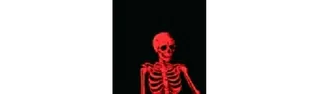 💀 skeleton, anatomy, bones, halloween, death whatsapp sticker