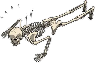 🙇‍♂️ โครงกระดูก, กายวิภาคศาสตร์, กระดูก, ฮาโลวีน, น่ากลัว telegram sticker