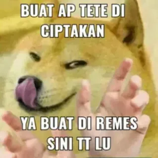 💸 BUAT AP TETE DI CIPTAKAN
YA BUAT DI REMES SINI TT LU doge, meme, engraçado, texto, cachorro telegram sticker