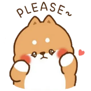 🙏 PLEASE หมา, น่ารัก, อ้อนวอน, ชิบะอินุ, คาวาอิ telegram sticker