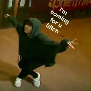 🌟 I'm coming for u bitch meme, threat, offensive, slang, person, hoodie, text telegram sticker