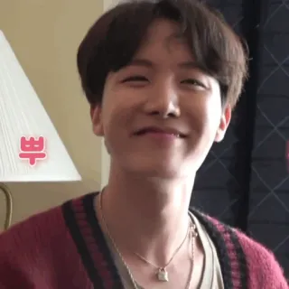 🎋 뿌 kpop, korean, cute, person, smile, jhope, bts telegram sticker