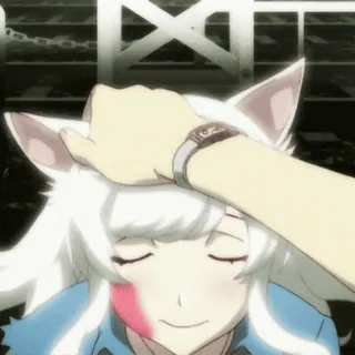 😻 anime, cat girl, kemonomimi, head pat, cute, white hair, fantasy telegram sticker