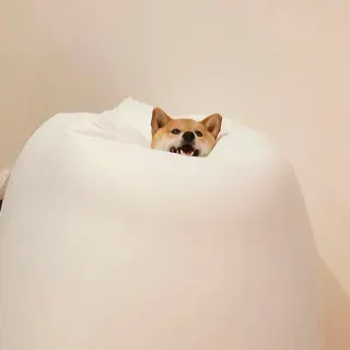 😮 dog, shiba inu, beanbag, cute, pet, animal telegram sticker