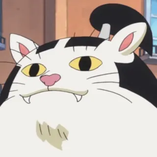 🏴‍☠️ кот, аниме, мультфильм, питомец, животное, млекопитающее telegram sticker