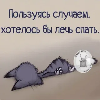 😇 Пользуясь случаем, хотелось бы лечь спать. ngủ, mèo, mệt mỏi, hài hước, tiếng Nga, động vật telegram sticker