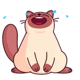 😂 gato, rindo, desenho animado, animal, animal de estimação, fofo whatsapp sticker