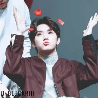 ✨ 01 BLACKRIN kpop, asiatisch, idol, Fan-Sign, süß, hübsch telegram sticker