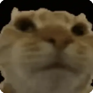 👎