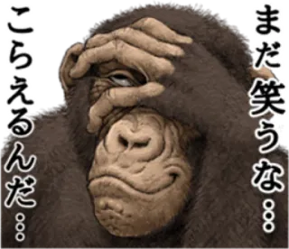 🐵 まだ、笑うな。。。
こらえ るんだ 。。。 monyet, monyet, sembunyi, binatang, lucu, komik, gorila, facepalm telegram sticker