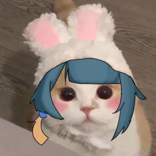 🌟 mèo, tai thỏ, anime, dễ thương, thú cưng, động vật telegram sticker