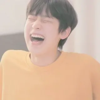 🥟 whatsapp sticker
