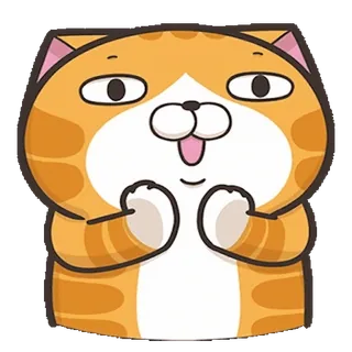 👏 猫, 橙色, 动物, 卡通, 可爱, 快乐, 表情包 telegram sticker