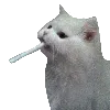 🚬