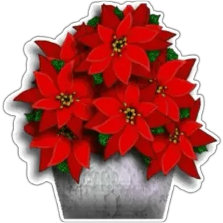 🌹 flower, poinsettia, red, plant, christmas whatsapp sticker