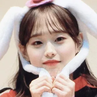 🐞 whatsapp sticker