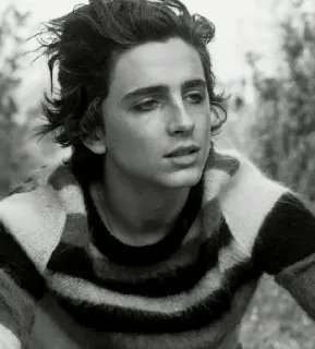 🦇 Timothée Chalamet Timothée Chalamet, actor, celebridad, retrato, blanco y negro telegram sticker