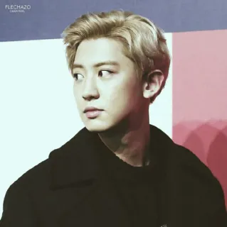 🗼 FLECHAZO uomo, ritratto, celebrità, biondo, Kpop, K-Pop, Chanyeol telegram sticker