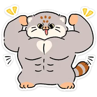 😼 Pallas's cat cat, muscular, fitness, strong, cute, funny, manul, workout, flexing, cartoon telegram sticker