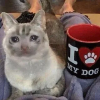 😭 I ❤️ MY DOG kucing, anjing, mug, hewan peliharaan, sedih, binatang telegram sticker