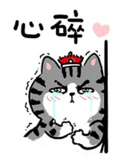 💔 mèo, khóc, buồn, sticker, cảm xúc, hoạt hình, dễ thương telegram sticker