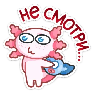 🙈 Не смотри... axolotl, mignon, dessin animé, animal, autocollant, rose, poisson, drôle whatsapp sticker