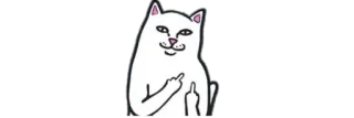 🩸 cat, middle finger, rude, offensive, white cat whatsapp sticker