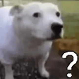 ❓