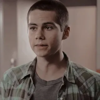 🦊 Dylan O'Brien 배우, 유명인, 인물 사진, 틴 울프 telegram sticker