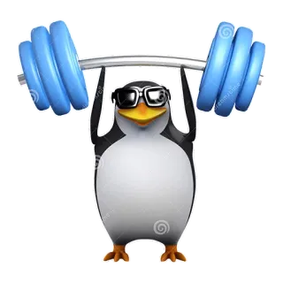 🏋 chim cánh cụt, cử tạ, tập thể dục, thể hình, hoạt hình, động vật, kính râm telegram sticker