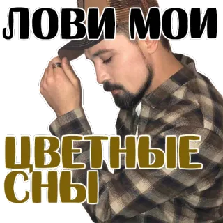 Dima Bilan @stickersb2b telegram stickers